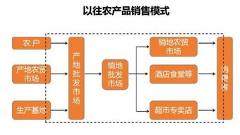 優(yōu)質(zhì)農(nóng)產(chǎn)品如何通過互聯(lián)網(wǎng)銷售 策略與實踐